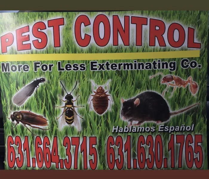 More For Less Exterminating Picture 10