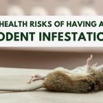 More For Less Exterminating