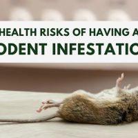 More For Less Exterminating ico