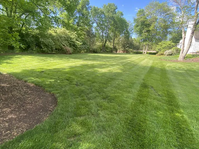 Total Turf Management Picture 9