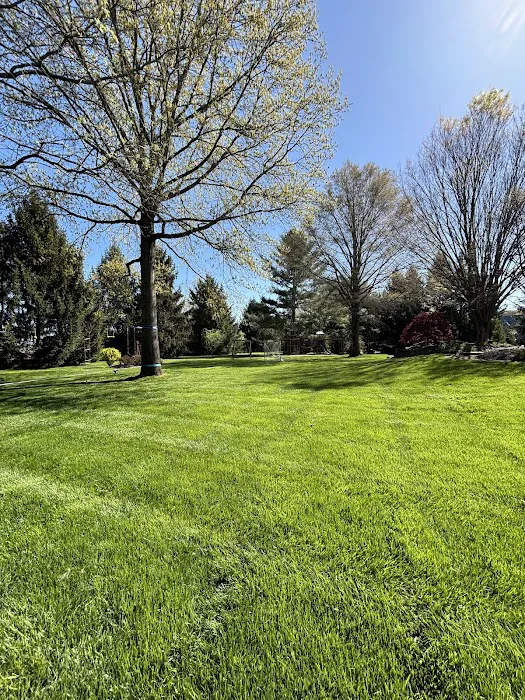 Total Turf Management Picture 6