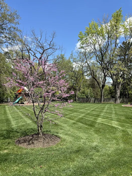 Total Turf Management Picture 5