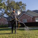 Pestech Pest Solutions