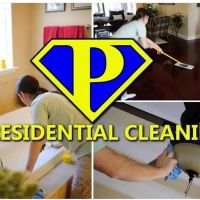 Mr. Perfecto Extermination and Cleaning ico