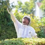 The Pest Rangers Mount Pocono: Termite and Pest Control