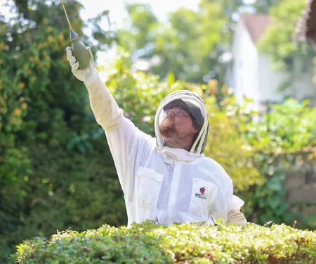 The Pest Rangers Mount Pocono: Termite and Pest Control