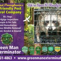 Green Man Exterminator ico