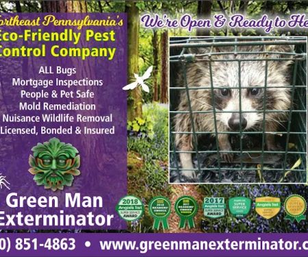 Green Man Exterminator
