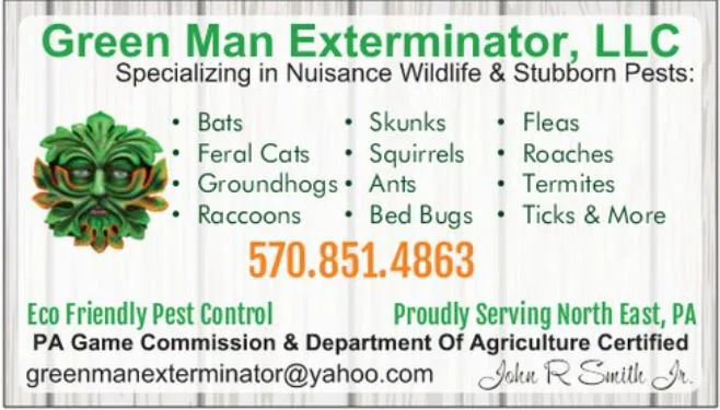 Green Man Exterminator Picture 9