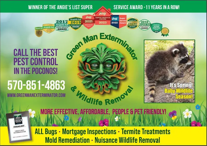 Green Man Exterminator Picture 4
