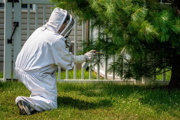 Quest Termite & Pest Management Picture 4