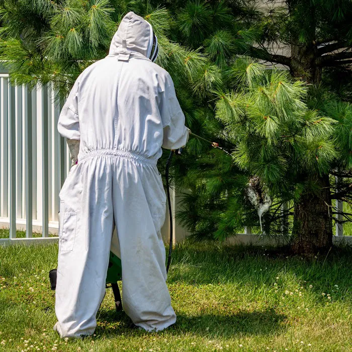 Quest Termite & Pest Management Picture 9