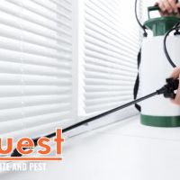 Quest Termite & Pest Management ico