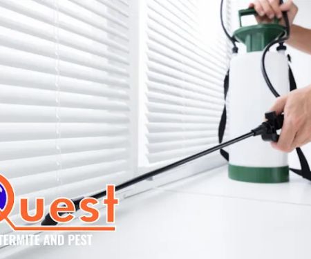 Quest Termite & Pest Management