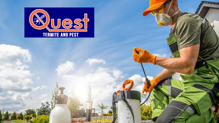 Quest Termite & Pest Management Picture 6