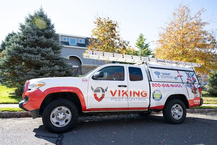 Viking Pest Control Picture 7