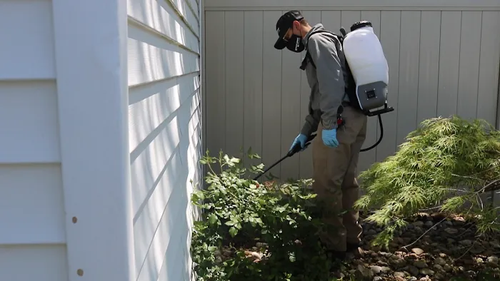 Green Pest Solutions Picture 5