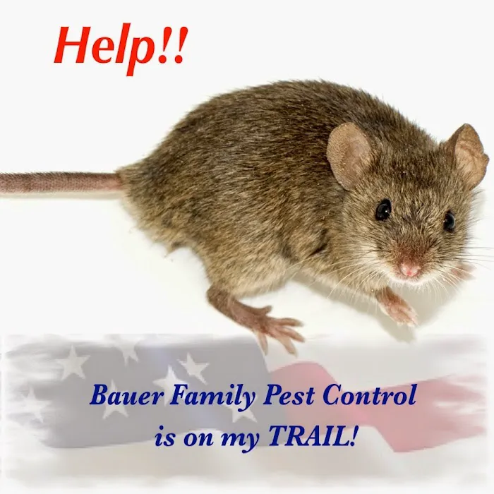 Bauer Family Pest Control, Inc. Picture 3