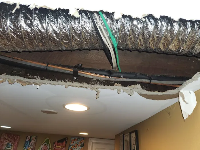 Ehrlich Pest Control Picture 7
