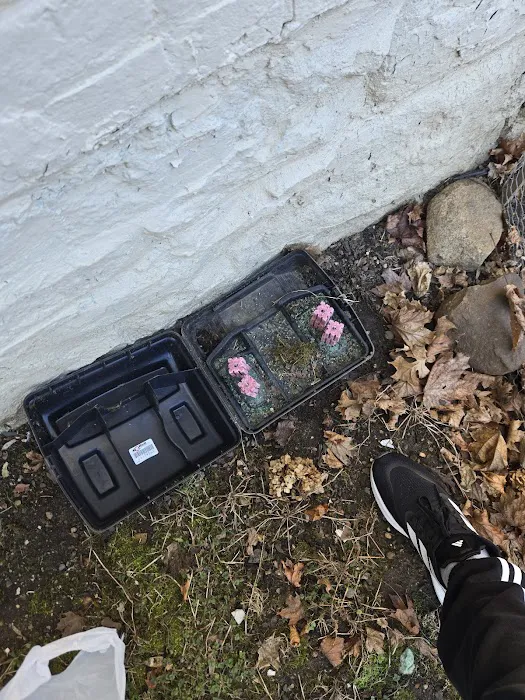 Wall2Wall Pest Control Services LLC Picture 10