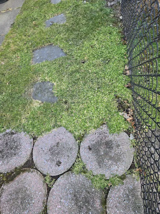 Wall2Wall Pest Control Services LLC Picture 6