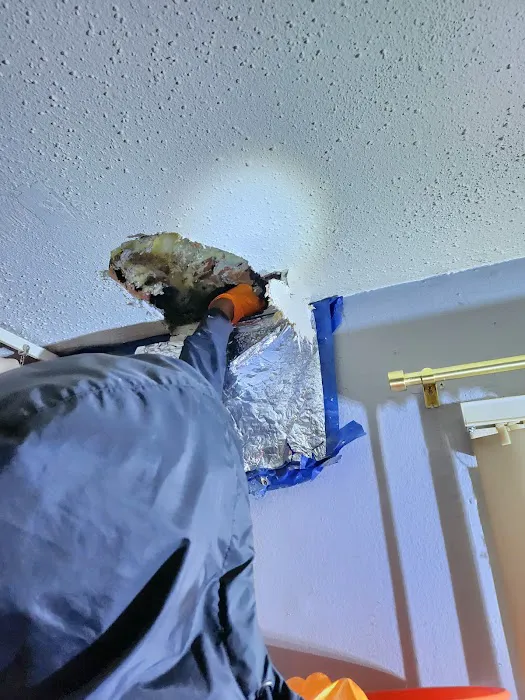 Wall2Wall Pest Control Services LLC Picture 7