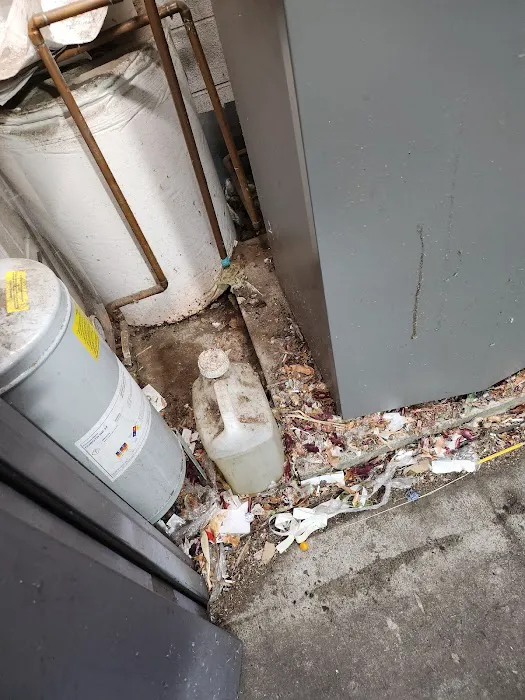Wall2Wall Pest Control Services LLC Picture 9