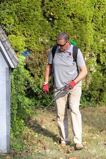 The Pest Rangers Lehigh Valley: Termite and Pest Control Picture 3