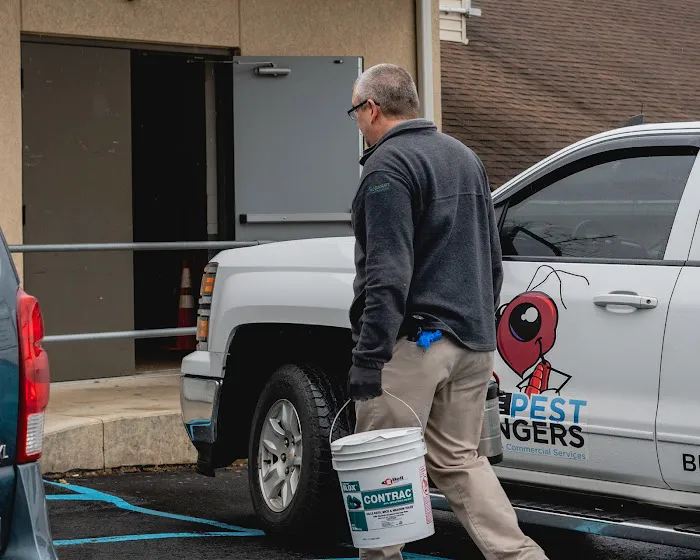 The Pest Rangers Lehigh Valley: Termite and Pest Control Picture 8