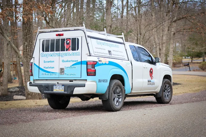 The Pest Rangers Lehigh Valley: Termite and Pest Control Picture 1