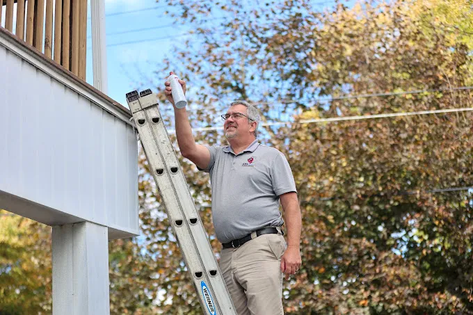 The Pest Rangers Lehigh Valley: Termite and Pest Control Picture 2