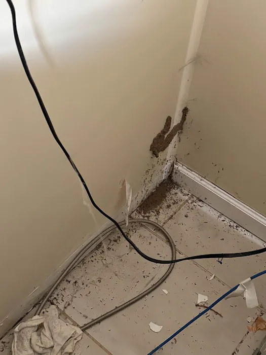 Newtown Termite & Pest Control Picture 1