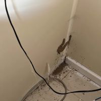 Newtown Termite & Pest Control ico