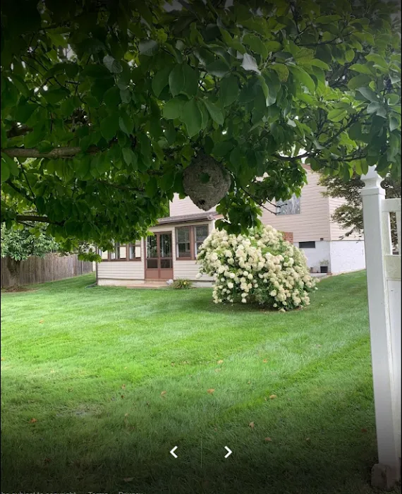 Township Pest Control Picture 3