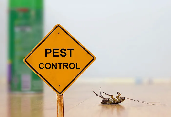 Township Pest Control Picture 5