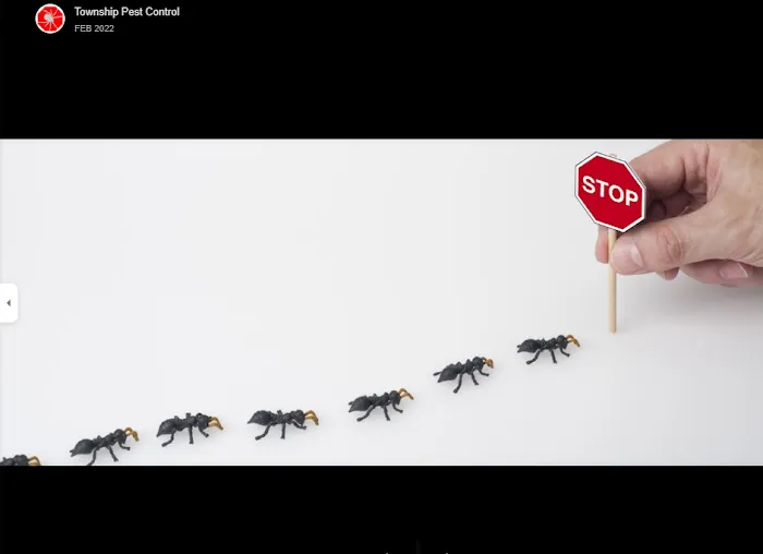Township Pest Control Picture 6