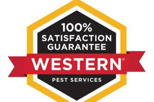 Auto Service Center