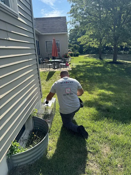 Resolve Pest Management Picture 4