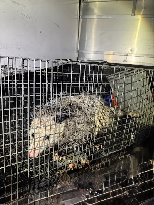 Resolve Pest Management Picture 10