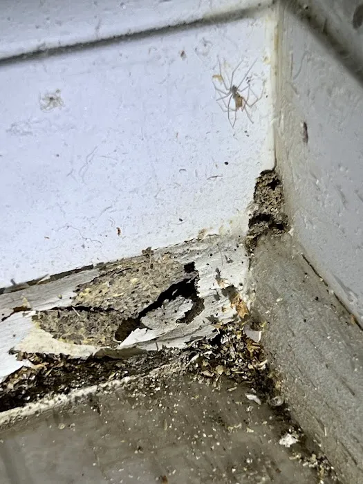 Resolve Pest Management Picture 6