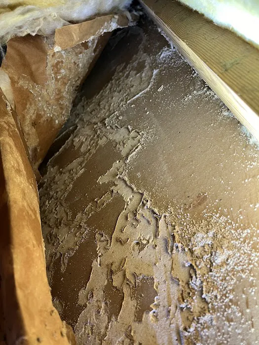 Shore Pest Solutions LLC Picture 3