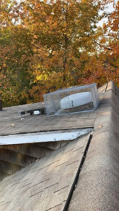 Shore Pest Solutions LLC Picture 7