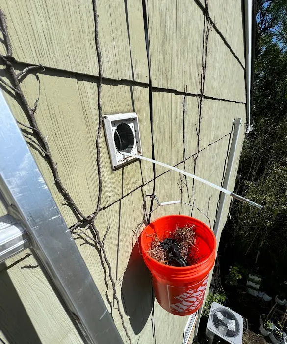 Shore Pest Solutions LLC Picture 9