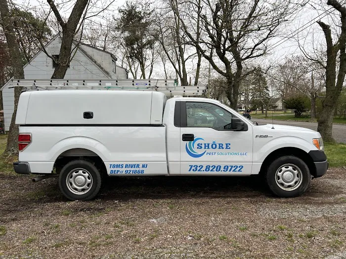 Shore Pest Solutions LLC Picture 5