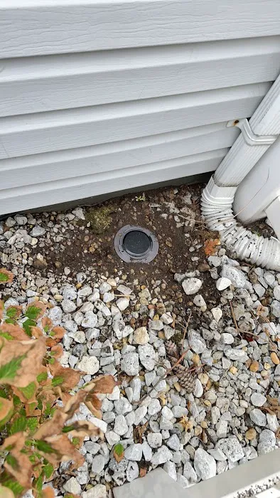 Superior Termite & Pest Control Inc Picture 1