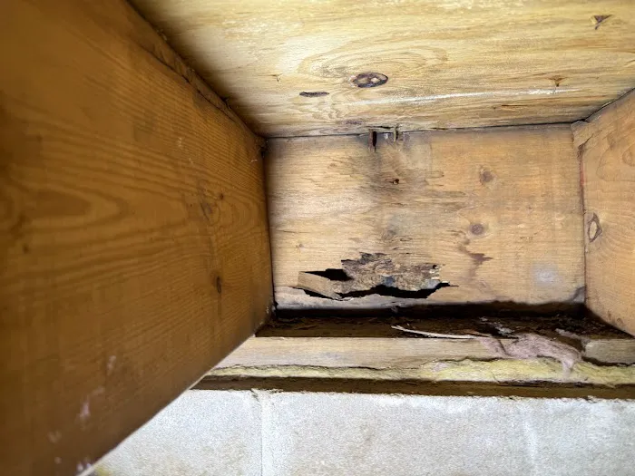 Superior Termite & Pest Control Inc Picture 5