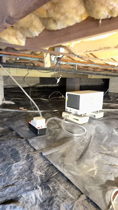 Superior Termite & Pest Control Inc Picture 6