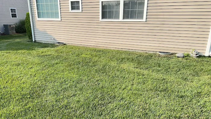Superior Termite & Pest Control Inc Picture 2