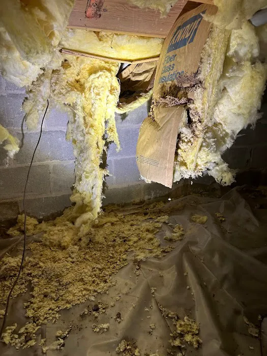 Superior Termite & Pest Control Inc Picture 9
