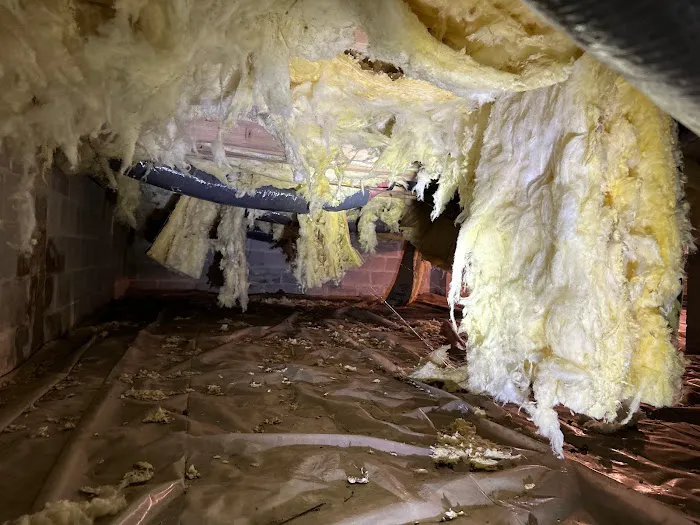 Superior Termite & Pest Control Inc Picture 3
